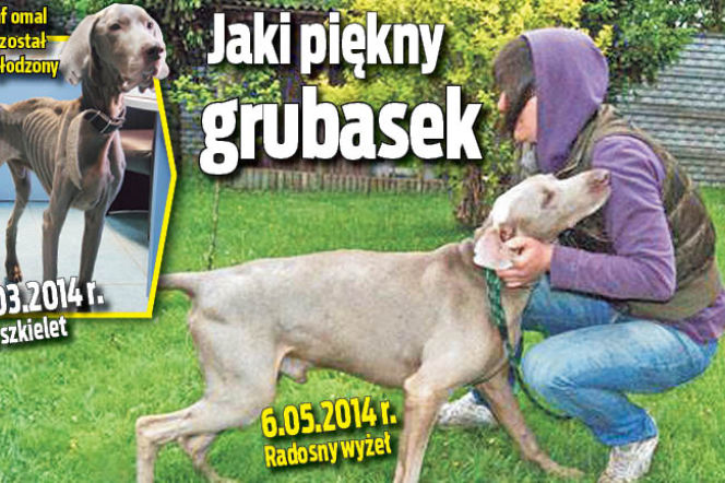 Jaki piękny grubasek