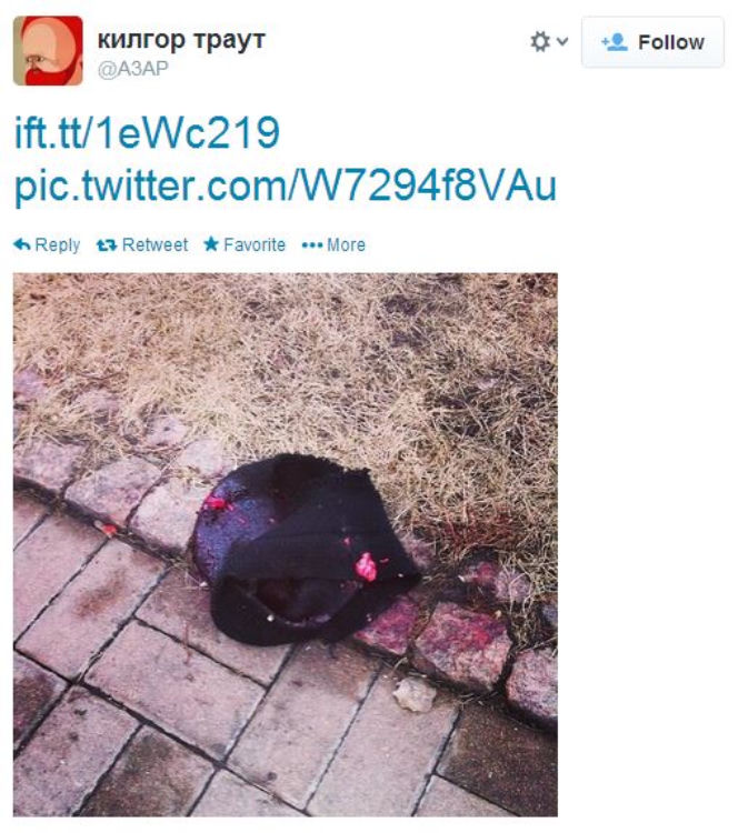 Twitter_czapka
