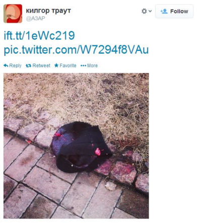Twitter_czapka