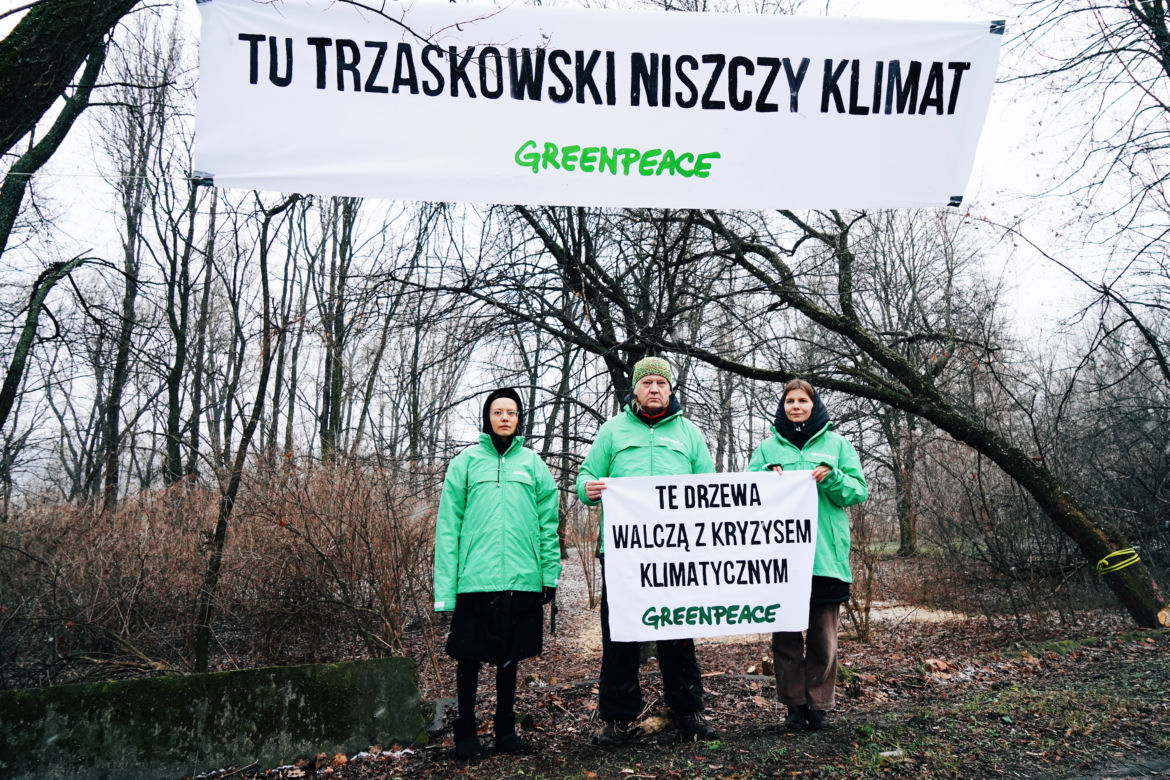 Aktywiści Greenpeace bronią drzew nad Wisłą