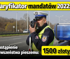 Taryfikator mandatów 2022 