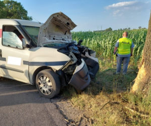 Jacek nagle zjechał z drogi i uderzył w drzewo. Policja bada przyczyny śmiertelnego wypadku w Bławatach
