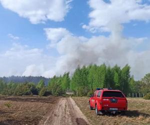Ogromny pożar pod Grójcem! Spłonęło 80 hektarów lasu