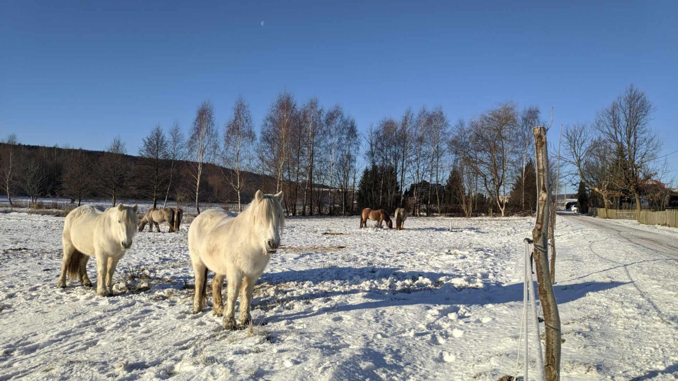 Kapkazy i Wzdół-Wiącka w gminie Bodzentyn