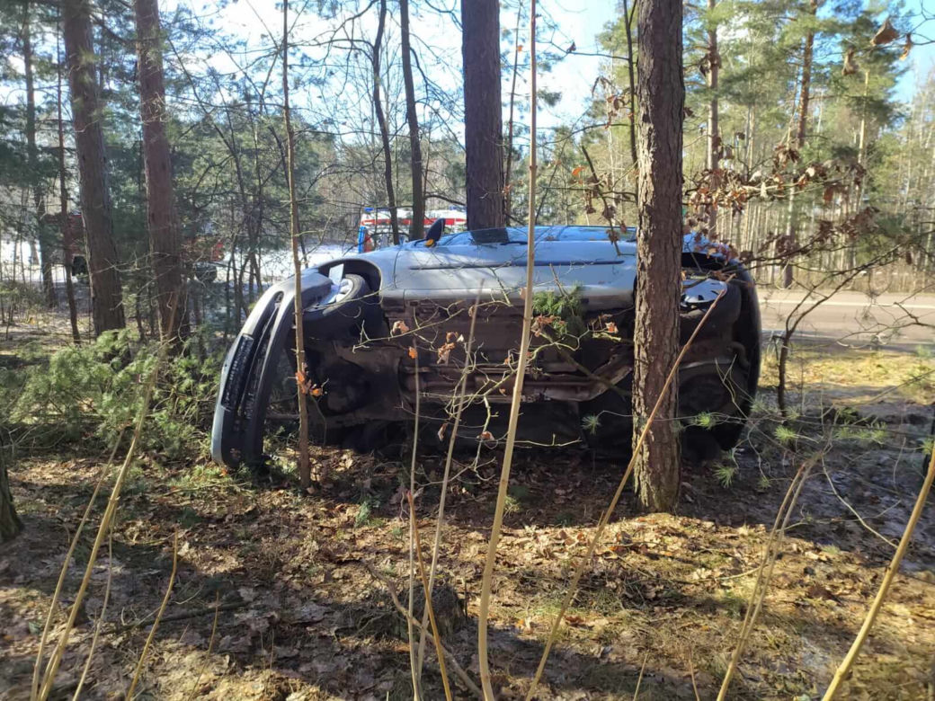 Wypadek na DW 686. Kierowca renault "zaparkował" między drzewami [ZDJĘCIA]