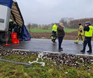 Troszkowo. Setki litrów piwa rozlały się na drogę