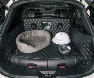 Nissan X-Trail stworzony dla psów