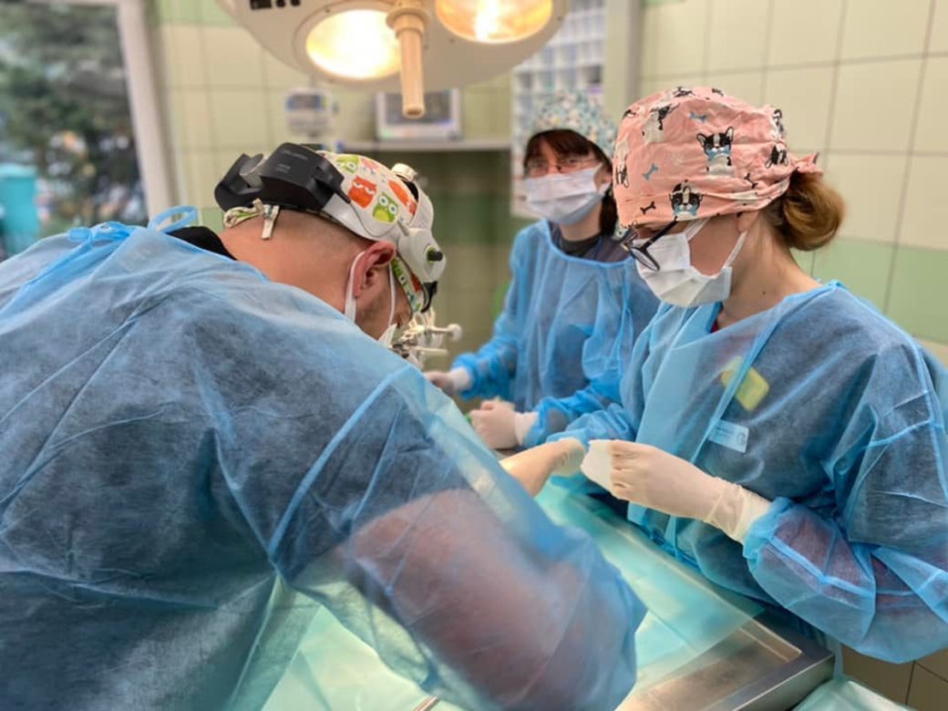 Operacja świnki morskiej z fikuśną grzywą. Janson pod skalpelem 