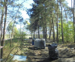 Płonęło nielegalne składowisko odpadów pod Warszawą
