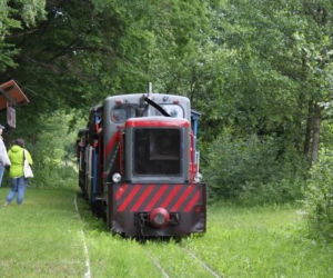 Niezwykła podróż przez puszczę. Kolejka w Białowieży wznowiła kursy! 