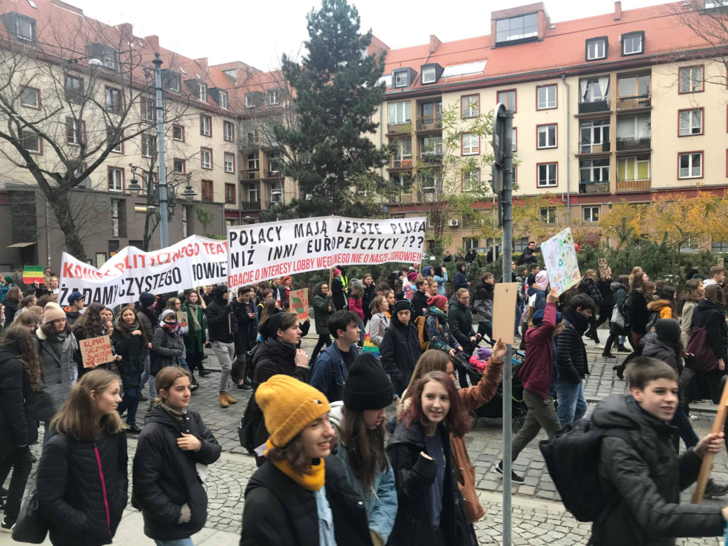 Manifestacja w obronie klimatu