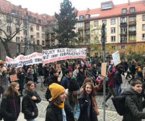 Manifestacja w obronie klimatu