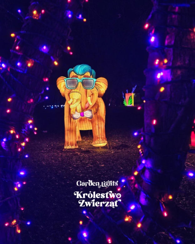 Garden of Lights