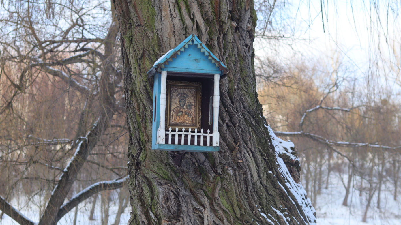 Cicho i wszędzie biało. Tak prezentuje się skansen w Lublinie w zimowej odsłonie! [GALERIA]