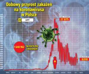 Koronawirus: 23 lutego 2021. 6 310 nowych zakażeń i 247 zgonów [Raport Ministerstwa Zdrowia z 23 lutego]