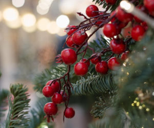 Gałązki jagód - mały detal, który zmienia wszystko