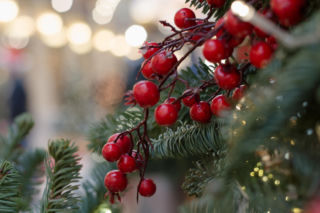 Gałązki jagód - mały detal, który zmienia wszystko