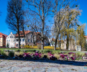 Olsztyn wraca do życia. Mimo epidemii centrum miasta rozkwita