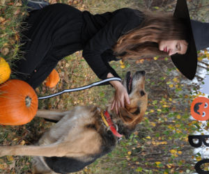 Zwierzaki w Potrzebie - urocze psy w Halloweenowej sesji! 