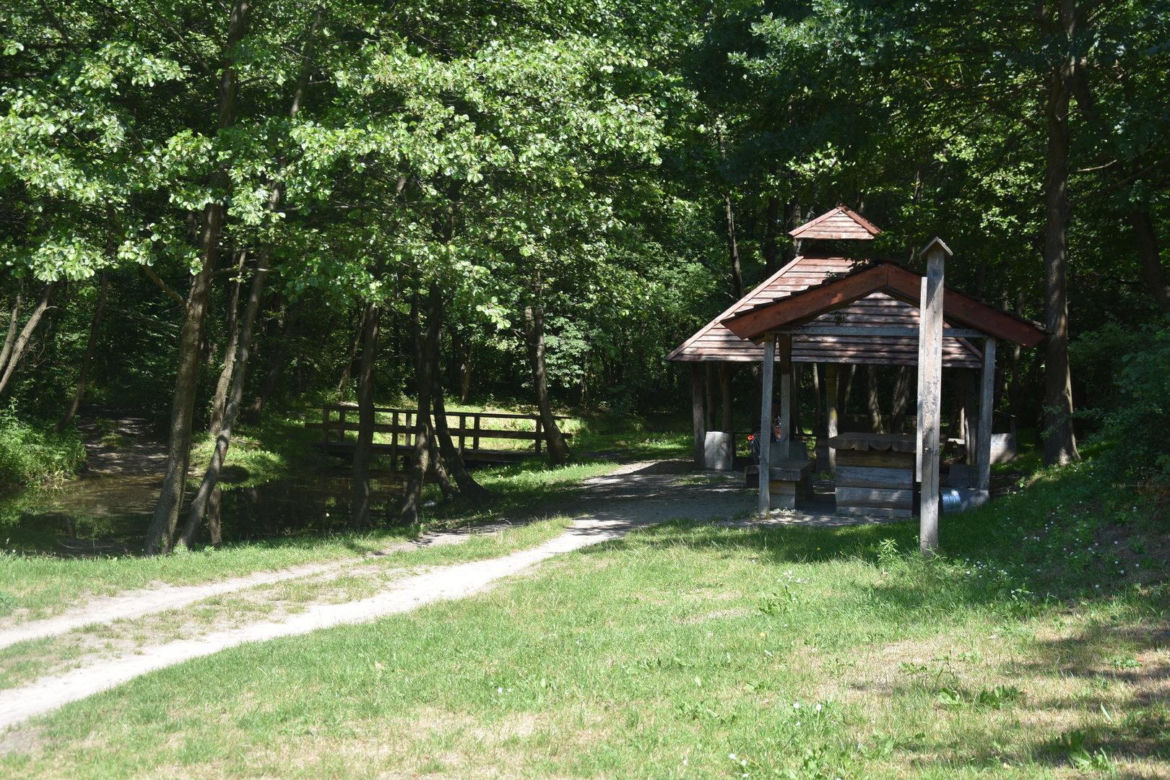 źródliska łany
