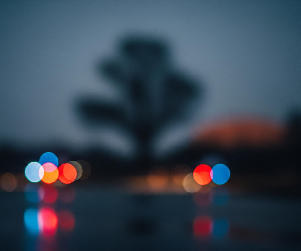 Myśliwy usłyszał zarzut z.jpg