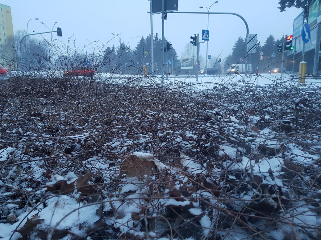 Zima zaatakowała w Olsztynie. Sypie śnieg, na drogach ślisko [ZDJĘCIA]