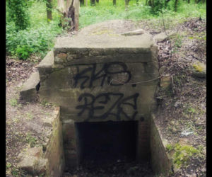 Zobacz, jak wygląda tajemnicy grobowiec rodziny Mielochów