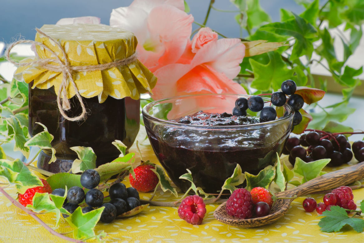Aronia czarna