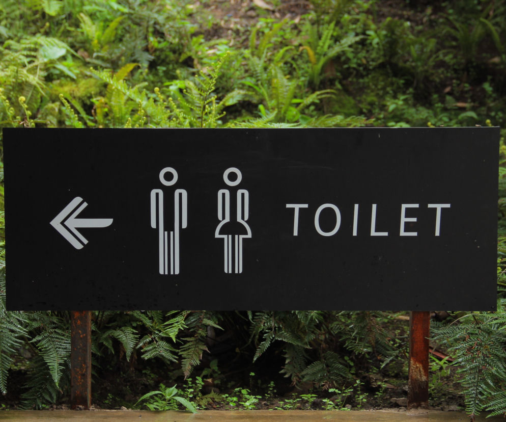 wc, toaleta