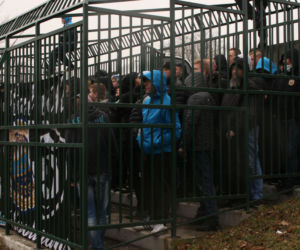 Skandal na meczu. Kibice Hutnika Kraków trzymani... w klatce niczym dzikie zwierzęta