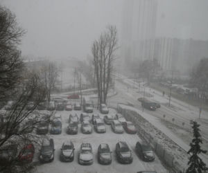 Śnieżyca