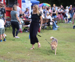 VIII Piknik Przyjaciół Schroniska w Toruniu