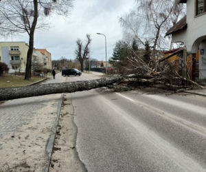 Szkody po Orkanie Eunice. Zrywało dachy, wyrywało grube drzewa, brakowało prądu