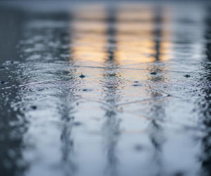 Horror w Poznaniu. Co ujawniła sekcja zwłok 32-latki?