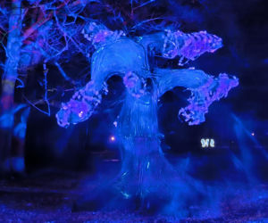 Festiwal Światła Rokosowo