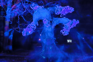 Festiwal Światła Rokosowo