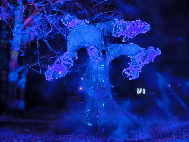 Festiwal Światła Rokosowo