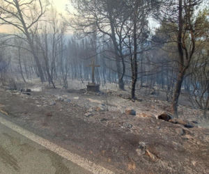 Pożary w Chorwacji na wyspie KORČULA