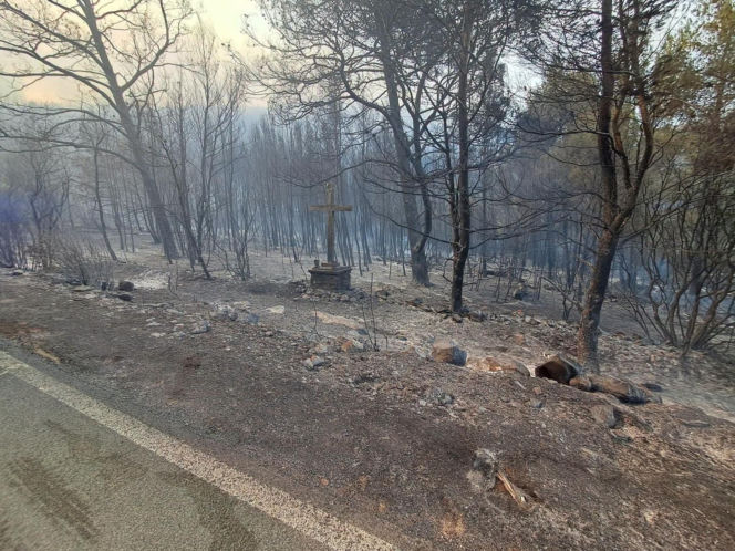 Pożary w Chorwacji na wyspie KORČULA