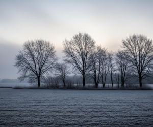Tarnów pogoda 19.11.2025. Czy listopad zaskoczy nas mrozem?