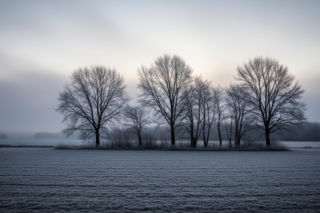 Tarnów pogoda 19.11.2025. Czy listopad zaskoczy nas mrozem?