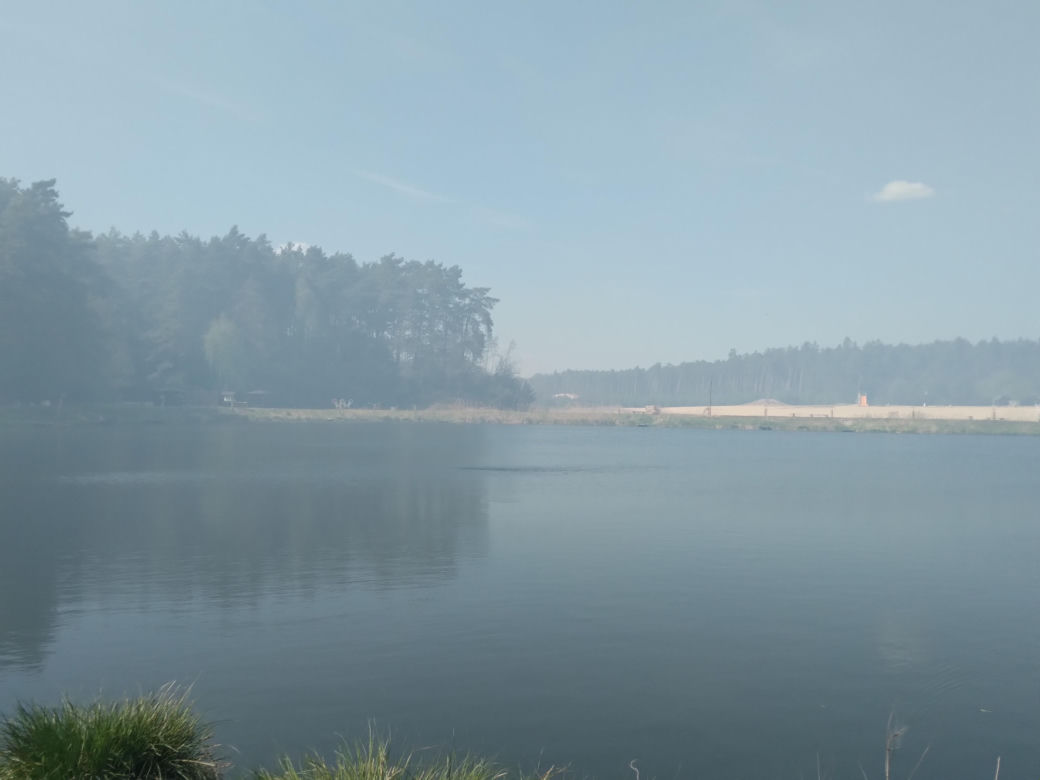 Pożar w Puszczy Białowieskiej