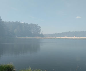 Pożar w Puszczy Białowieskiej