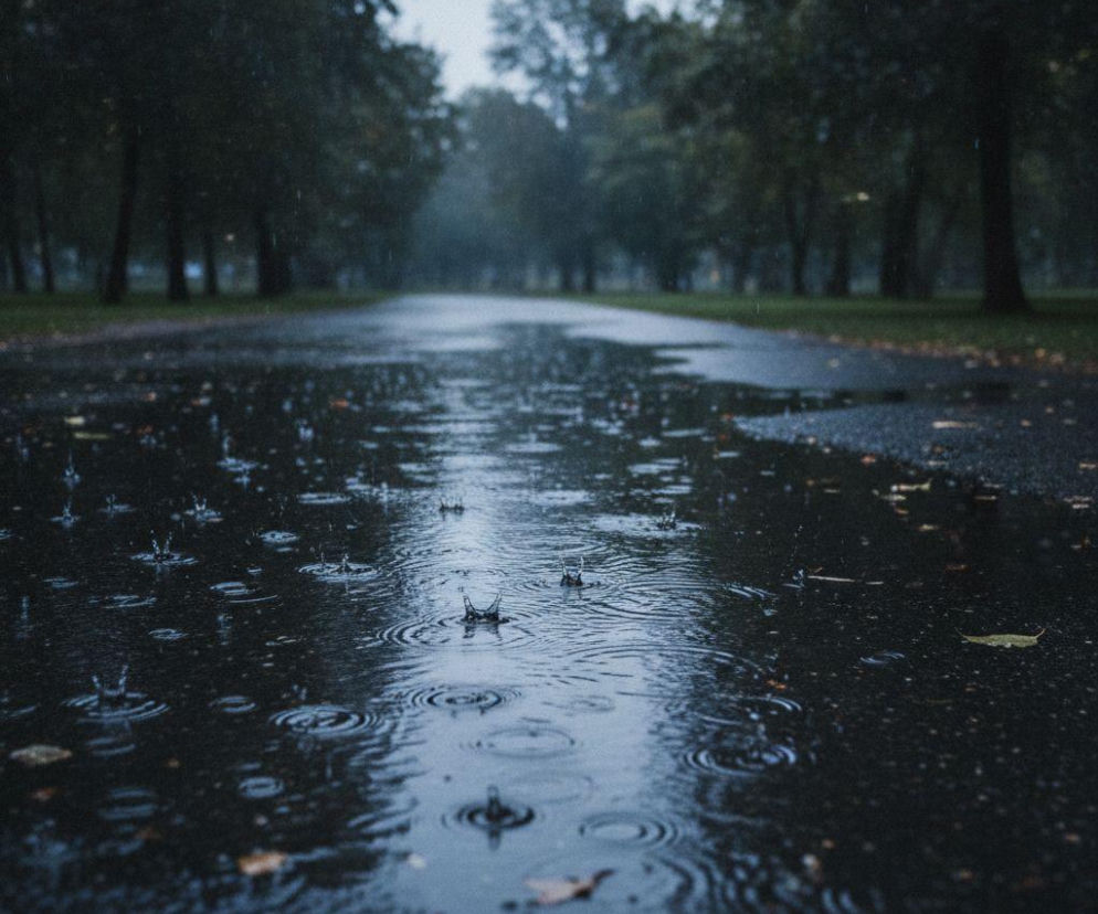 Krople deszczu uderzające w zalaną wodą asfaltową alejkę w parku. O zmianie pogody w Bydgoszczy przeczytasz na SE.