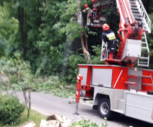 Huraganowy wiatr złamał lipę, jak zapałkę. Drzewo spadło na samochód Ukraińców