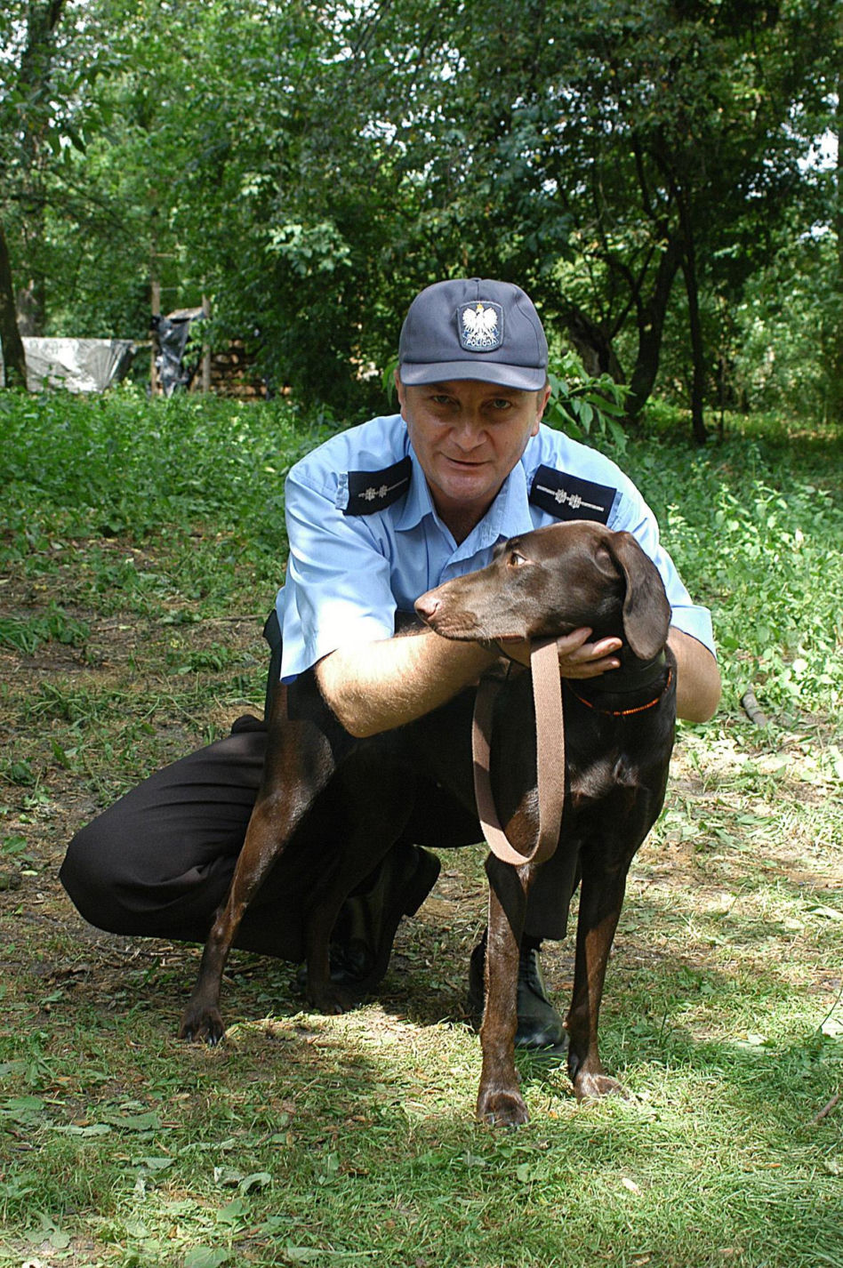 Serial "Ranczo"