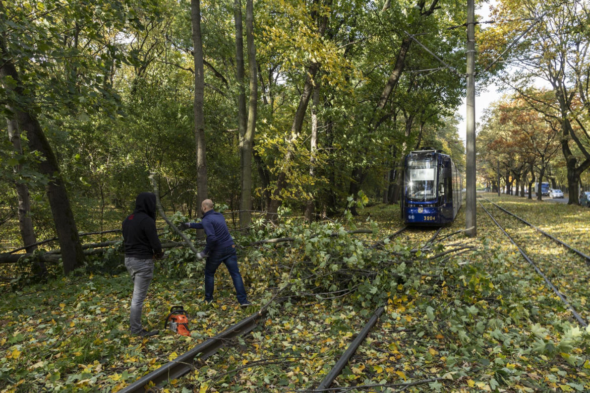 Wichura Wrocław drzewo tramwaj   