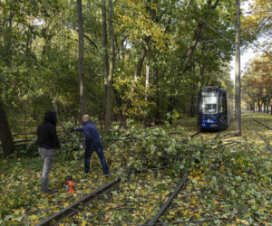 Wichura Wrocław drzewo tramwaj   