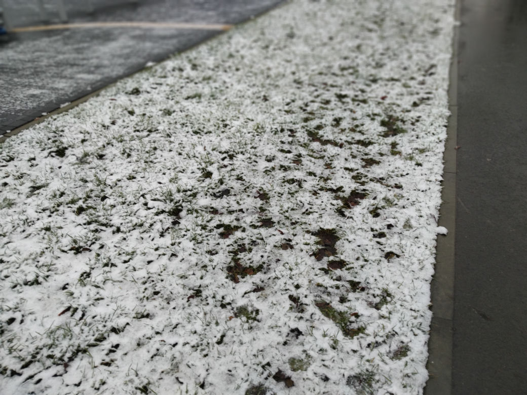 Pierwszy śnieg w Radomiu! Zobacz, jak rano wyglądało miasto