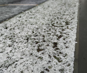 Pierwszy śnieg w Radomiu! Zobacz, jak rano wyglądało miasto
